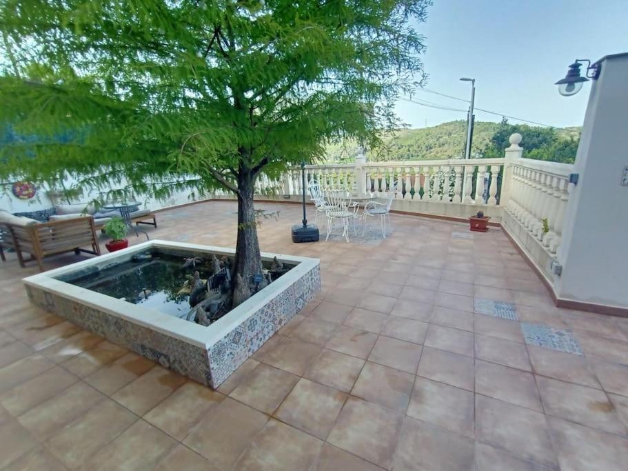 VILLA FALCONERA. A las faldas de la montaña. Gandía Exterior foto